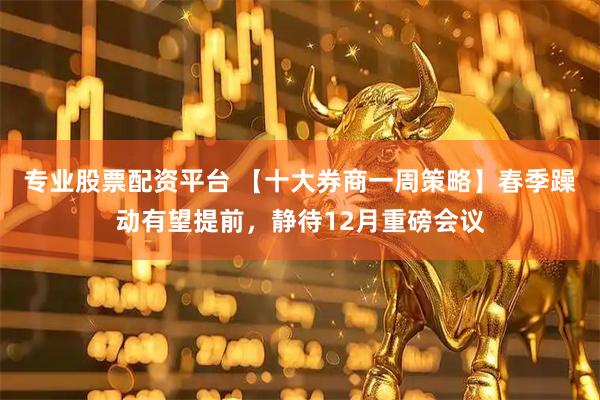 专业股票配资平台 【十大券商一周策略】春季躁动有望提前，静待12月重磅会议